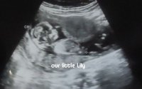 lilymaud's Avatar