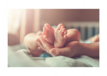 Introducing your newborn to your fur kids