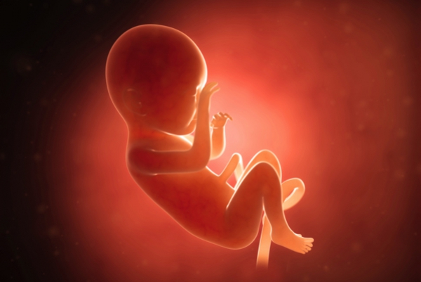 7 Weeks pregnant - what to expect