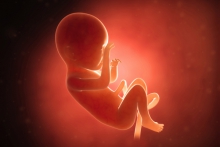 7 Weeks pregnant - what to expect