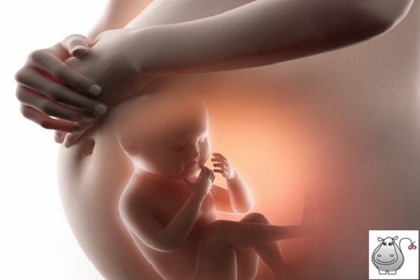 Week 36 - your week by week pregnancy