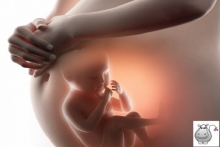 Week 36 - your week by week pregnancy