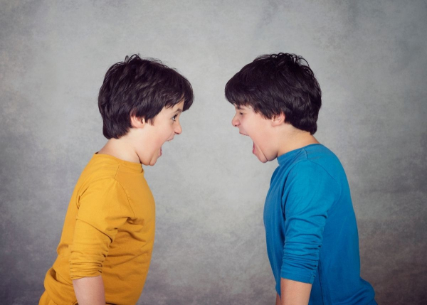 How to handle sibling rivalry