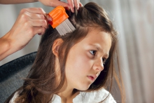 Head lice - it can happen to anyone!