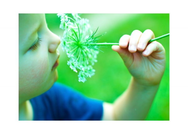 Raising a nature-lover