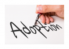 Steps to adoption