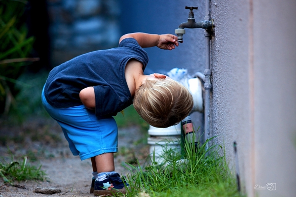 Toddlers say the cutest things - have a read