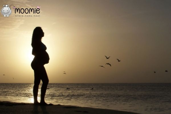 What is the Fertility Show South Africa?
